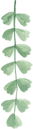 decorative plant illustration left 3